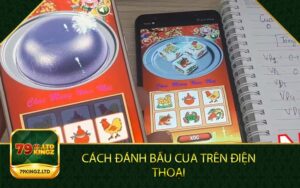 CÁCH ĐÁNH BẦU CUA TRÊN ĐIỆN THOẠI